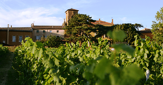 Beaujolais wine tour - Beaujolais-Gillet-Inter-Beaujolais-copyright