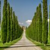 Bolgheri & Beach