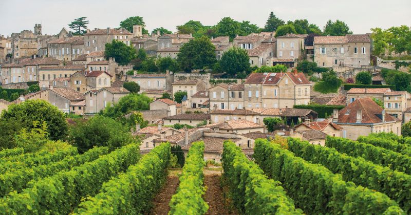 Bordeaux wine-tasting tours, credit Vincent Bengold