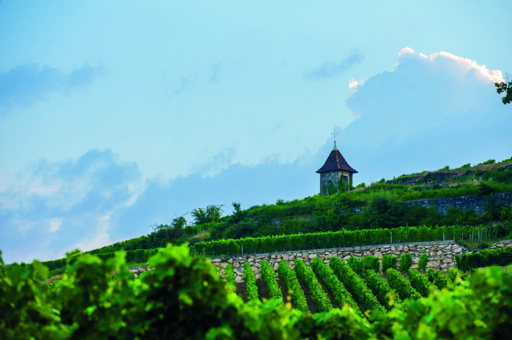 Wineries in Bordeaux