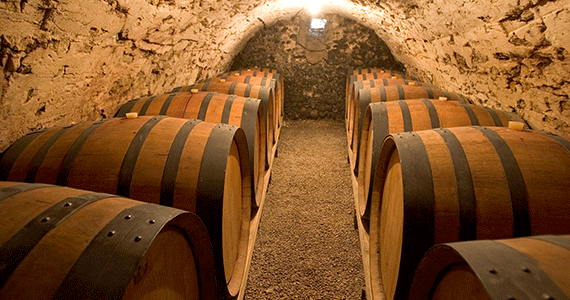 Beaune wine tour- L.PASCALE-ADT-26