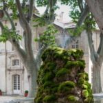 Cloitre Saint Louis fountain, Rhone Valley Rhone by Rail wine tour