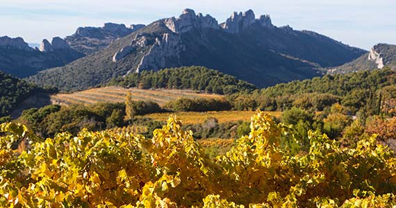 Chateauneuf-du-Pape tour- Credits A Hocquel and VPA