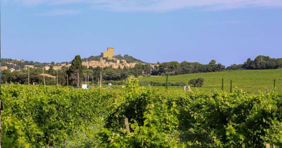 Chateauneuf-du-Pape tour- Credits A Hocquel and VPA