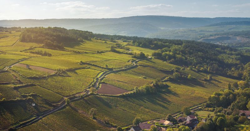 Chateau La Commaraine, Burgundy vineyards aerial view, credit John Athimaritis