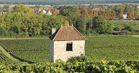 Burgundy wine tours - Cadole-à-Givry-Cote-Chalonnaise