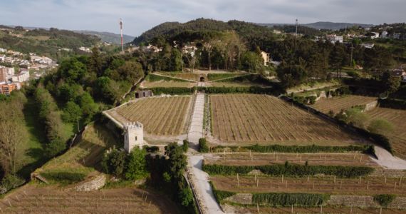 Exclusive Vinho Verde wine tasting, vineyards, credit Casa da Calcada
