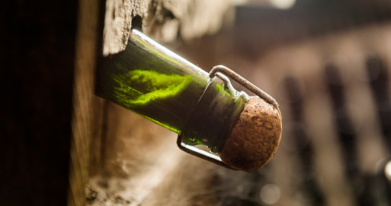 Cava and lees, Cava production process, Penedes region, credit Global Image Projects SLU
