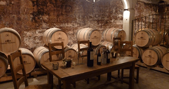 Cellar-Rioja