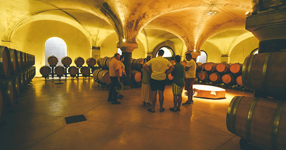Amarone wine tour - Cellar-tour---Credits-Veronality