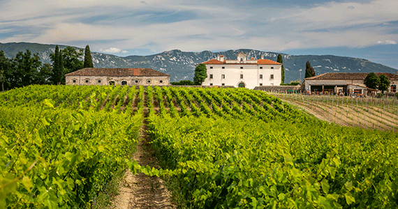 Istria wine tours - Cerovlje-Belaj-tz183--Credits-JulienDuval---Istria-Tourist-Board
