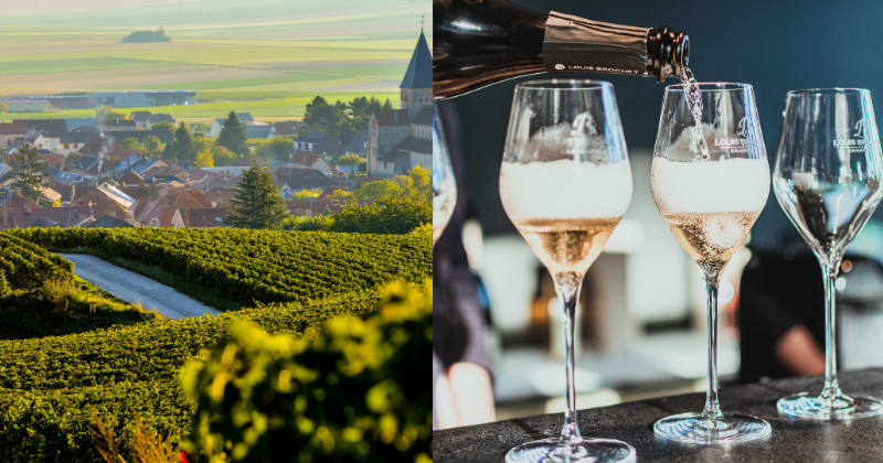 Champagne, France, best wine regions near paris. Credit Champagne Louis Brochet