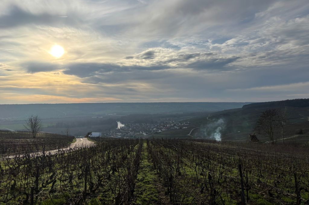 Vineyards of Champagne, winter, Grape Escapes