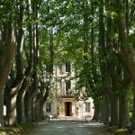 Chateau des Alpilles