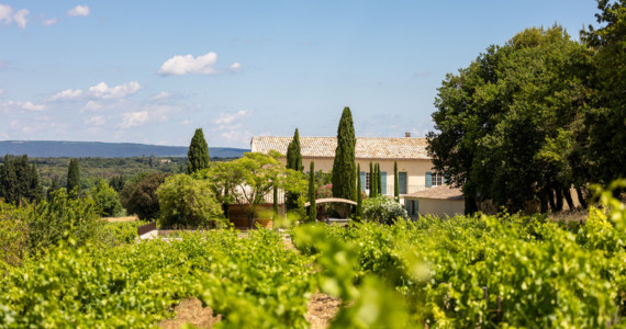 Rhone and Provence food tour, Chateauneuf-du-Pape winery vineyard, credit Domaine Le Prieure des Papes