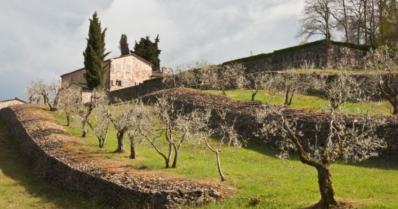 Chianti Winery