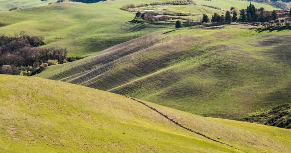 Chianti hills