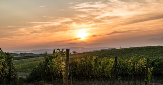 Chianti landscape Exclusive Florence