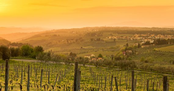 Chianti landscape - Hidden Gem Le Fontanelle