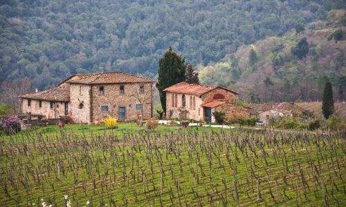 Chianti winery