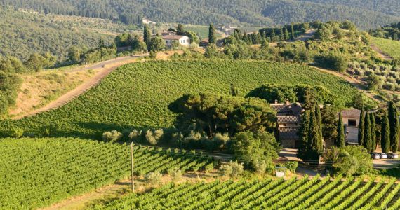 Chianti Tuscany vineyard views
