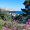 Cote d'Azur wine tours