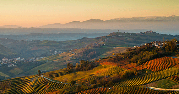 Piedmont and Lake Maggiore wine tasting tour - Credits-Azienda-Agricola-Luigi-Drocco