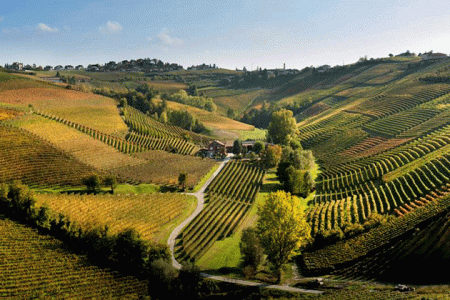 Piedmont Wine Tour - Credits Ca del Baio