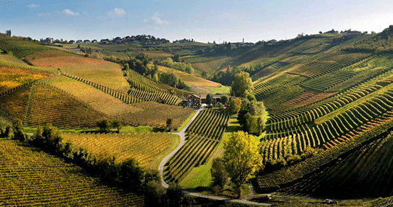 Piedmont and Lake Maggiore wine tasting tour - Credits-Ca-del-Baio