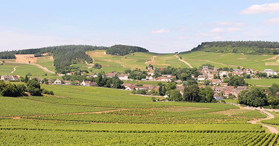 Beaune wine tasting - Credits-Chalon-Tourism---Chateau-de-Chamirey