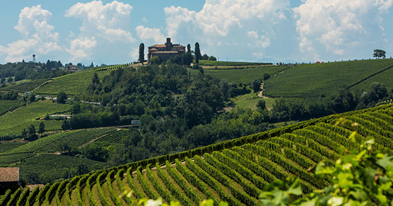 Piedmont wine tour - Credits-Marcarini