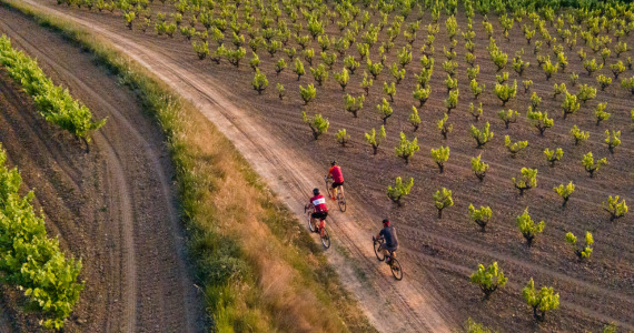 Cycling through the vineyards, Priorat, Penedes and Barcelona wine tours, credits Global Image Projects SLU