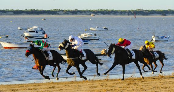 Jerez Sherry Tours, horses on the beach at Sanlúcar de Barrameda, credit Andalusia Tourism