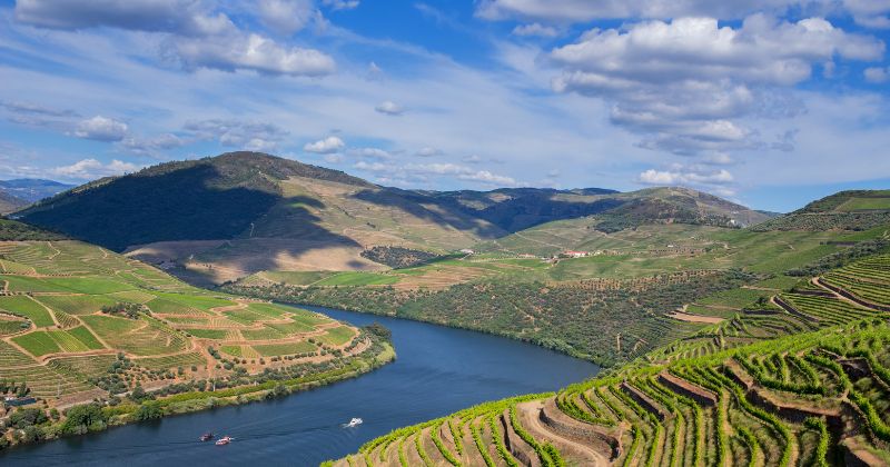 Douro Valley tour