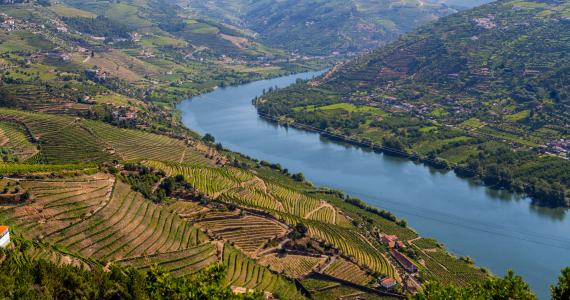 Douro wine tour