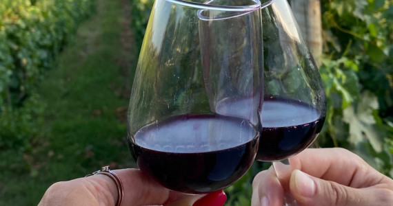 Douro and Vinho Verde Wine Tour, red wine in the Douro