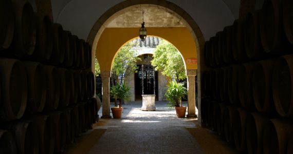 Andalusia wine tours, Jerez wine tour, credit Andalusia Tourism