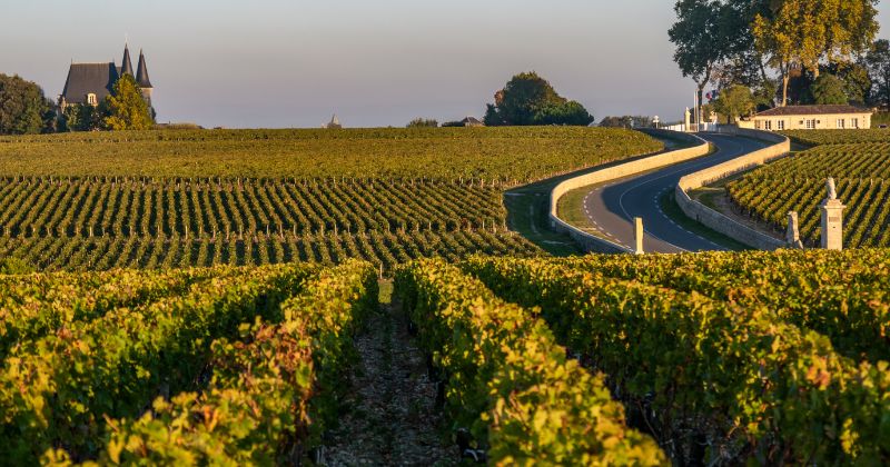 Eva Longoria Searching for France, Bordeaux