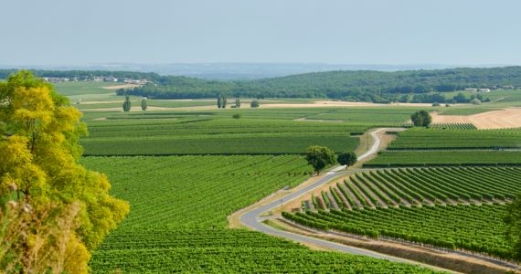 Explore Cognac, landscape, credit Aurélien Terrade / BNIC