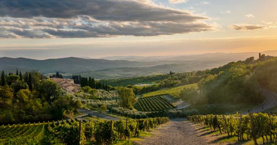 Castello di Fonterutoli, hamlet views, credit Castello di Fonterutoli