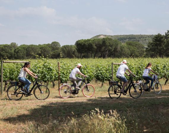 Ribera del Duero wine tour -Finca Villacreces Winery - Credits Castilla Termal
