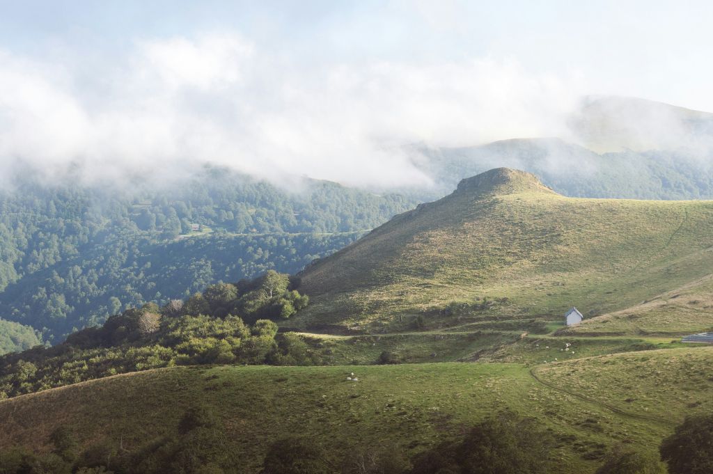 Forêt d'Irati, Larrau, Basque