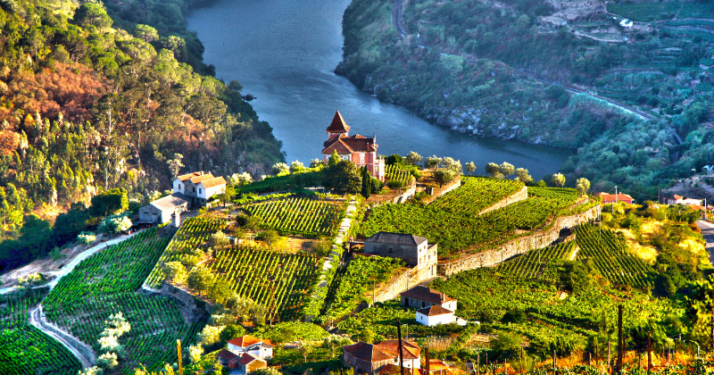 Douro Valley, covered in lush vineyards