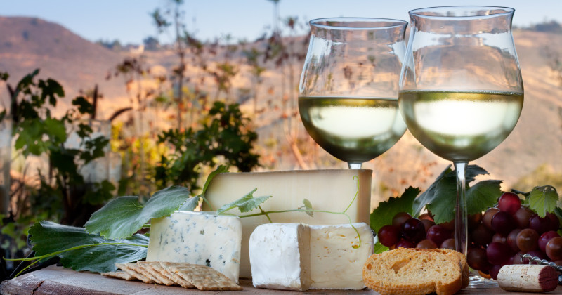 combining wine tasting with cheese tours in france is the perfect way to spend a trip away.