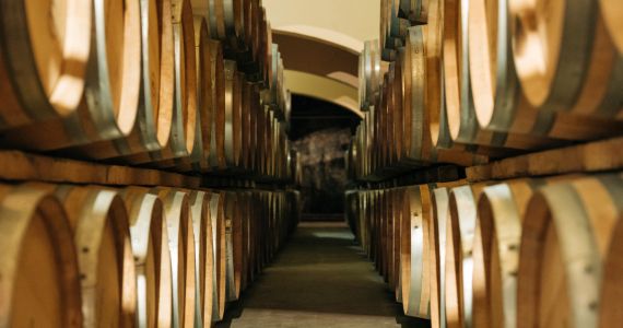 Chateau l'Hospitalet cellars, credit Chateau l'Hospitalet