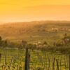 Exclusive Montalcino