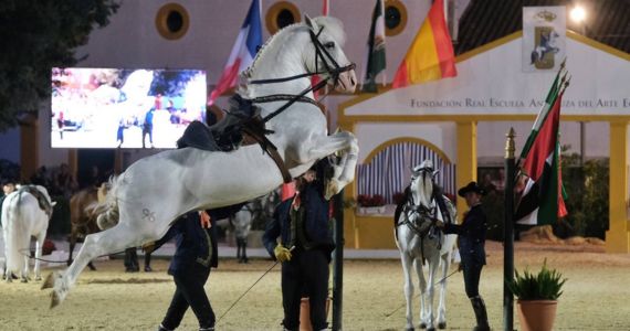 Andalusia sherry tours, Jerez horses, credit Andalusia Tourism