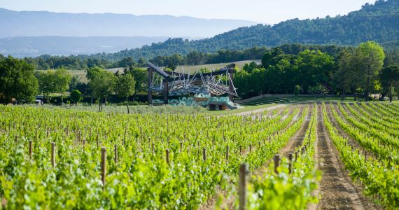 Chateau La Coste vineyards and Frank-O.-Gehry-Pavillon-de-Musique, credit Gehry Partners and Chateau La Coste, Andrew Pattman