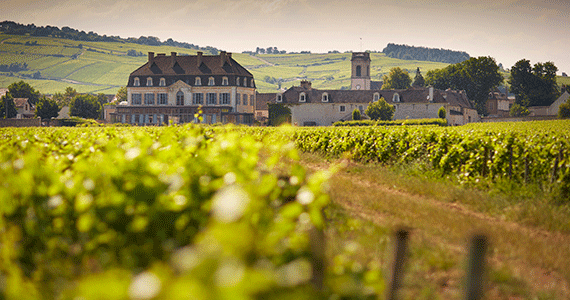 France wine tour- Le-Château-de-Pommard---Beaune-Tourisme-©-Château-de-Pommard