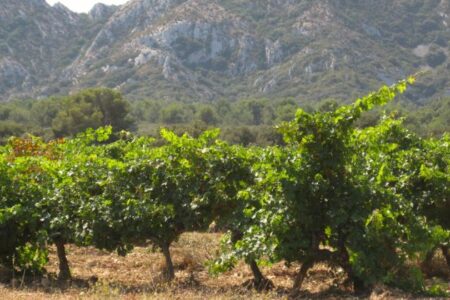 Les Alpilles, credit Office Tourisme Saint Remy de Provence